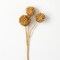 Sullivan's Dragon Spray, Brown Faux Floral Stem for Crafting, Weddings, Home and Holiday Decoration, 23 Inch